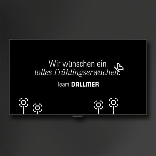 Videos und Icon-Animationen