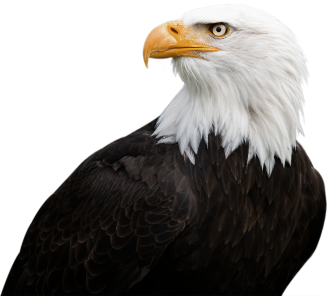 Adler